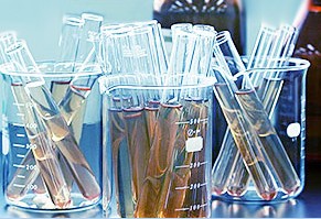 中山市三匠涂料厂