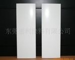 东莞丽利涂料有限公司