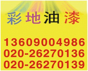 广州市彩地油漆有限公司